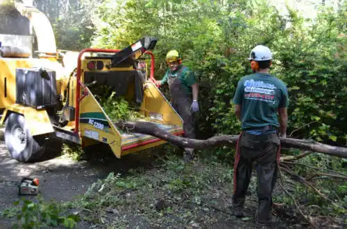 tree services Elk Run Heights